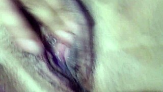 This Brazilian Latina gordinha safada gets her big ass licked in reality play