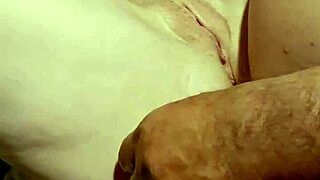 lisa ann shows off her cock swallowing talents in reality blowjob ass cowgirl fingering brunette hardcore pornstar interview tits