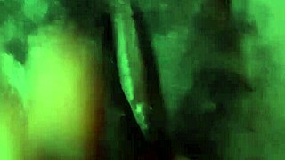 New Couples Enjoy Honeymoon Bliss