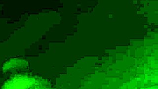 ebony bbw enjoys intimate encounter with partner