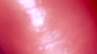 Watch This Uncensored Japanese Blowjob Close Up