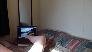 my wife is in heat and needs attention