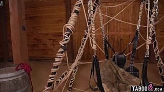 farm owner tag teamed by two sexy shemales