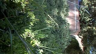 i'm amazed as tobi pacific squirts everywhere in lingerie