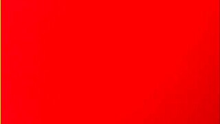 huge creampie for you