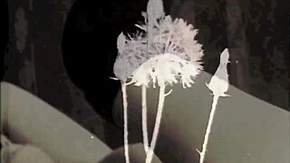 Exploring The Wonderful World Of Vintage Pornography And Interracial Themes