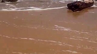 african beauty flashes boldly at the public beach today