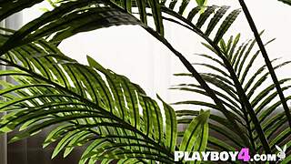 Does Kelly Lu Expose Her Big Tits?