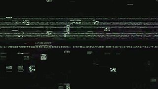 dr tampa - tampa university entrance physical - kalani luana