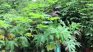 softkind takes stepmom from back as christmas gift