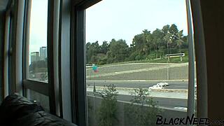 Busty student says 'fuck my ass rough'