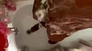 Shower to streets, fuck in sheets