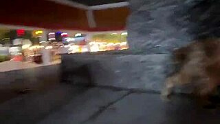 Dialogic Nothing to see, just a Thai cat lady.