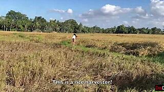 Cute rice picker opts for sex as payment for fieldwork