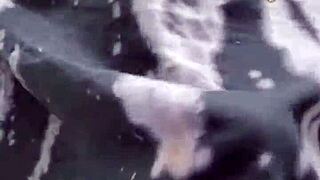 Femboy sissy TEASING her GIRLCOCK bulge UNDERNEATH