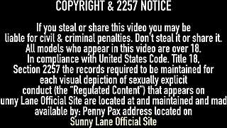 Enchanting Milf in Lingerie Solo Scene