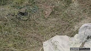 jane and kyra's tits drive him wild?