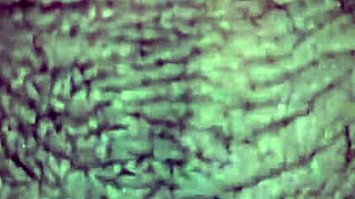 Mature latina milf interacts with young man part 3