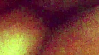 My Wife's Amateur Adventures