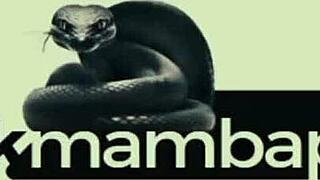 Creamy group fun with two ebony ladies