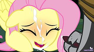 Canaryprimary - Non-Aggression Pact