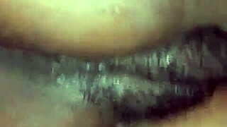 Main pepek gemuk tuan rumah manis basah dasyat gila