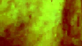 Angelgxkuzz has a phat wet pussy ready for big black cock