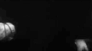 My Secret Life Vintage Mermaids With Tits Retro Pussy Antique Hairy Natural Beaver