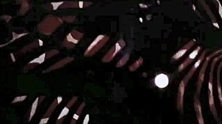 My Secret Life Vintage Mermaids With Tits Retro Pussy Antique Hairy Natural Beaver