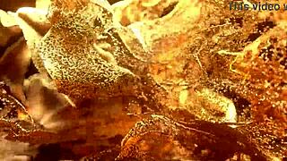 New sexy teen sofia ross first anal by lancelot bbc?