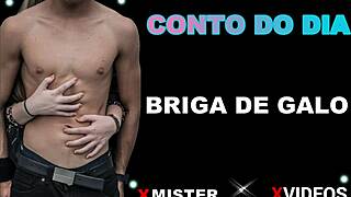 i'm watching this brazilian cock fight with amateurs