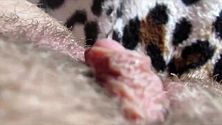big clit orgasm closeup view