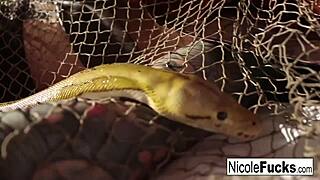 i see hot hunter nicole aniston capturin the minotaur and milkin his balls.