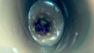 internal camera captures pussy fuck ending in huge cumshot