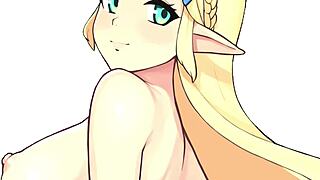 Joi Princesse Zelda Traduit Instructions