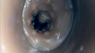 internal camera captures pussy fuck ending in huge cumshot