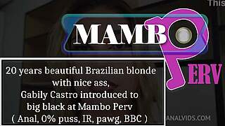 beautiful brazilian blonde gabily castro gets introduced to big black cock at mambo perv