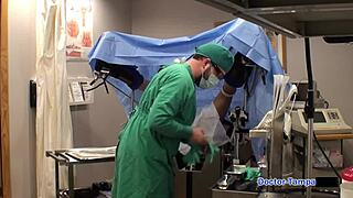 Phoenix Rose in Dr Tampa's vibrator humiliation in Florida