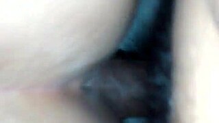 DE PERrito AMOR, intense and extreme passion unfolds.