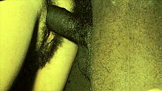 Exploring vintage porn with hairy beavers 😍