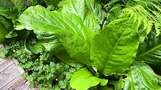 Missalinapaige trades cards