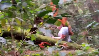 did the guy pay to see my pussy?