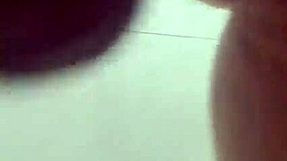 Alineflavio's latest update from August