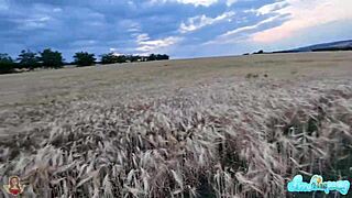 I got a blowjob in the wheat field with her flashing tits
