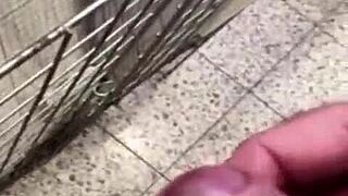 Public wanking and pissing at the DIY store!