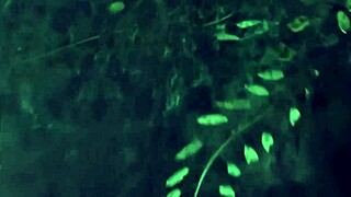 I-I found this mysterious beauty at the magic place, she g-gives amazing sexual feelings!