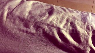 BBW pornstar with big tits gets blowjob, doggystyle, and bent over with couple