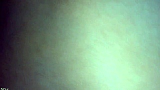 laura daniela, are you ready for exhibition in mexico city?