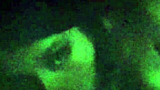 Qué quieres? Ya te dije que no estás chingando.