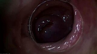 Camera Deep Inside Paula Shy's Vagina